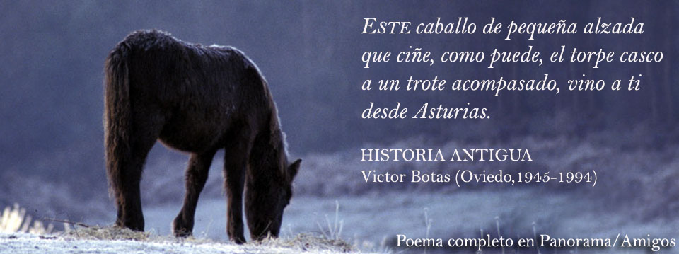 Criar
