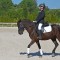 Campeonato de Asturias de Doma Clasica 2014